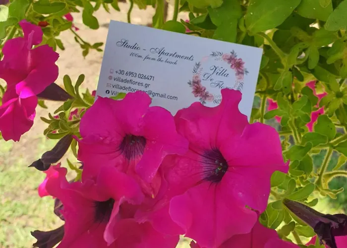 De Flores דירה *