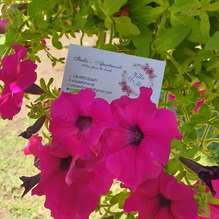 De Flores Lägenhet *